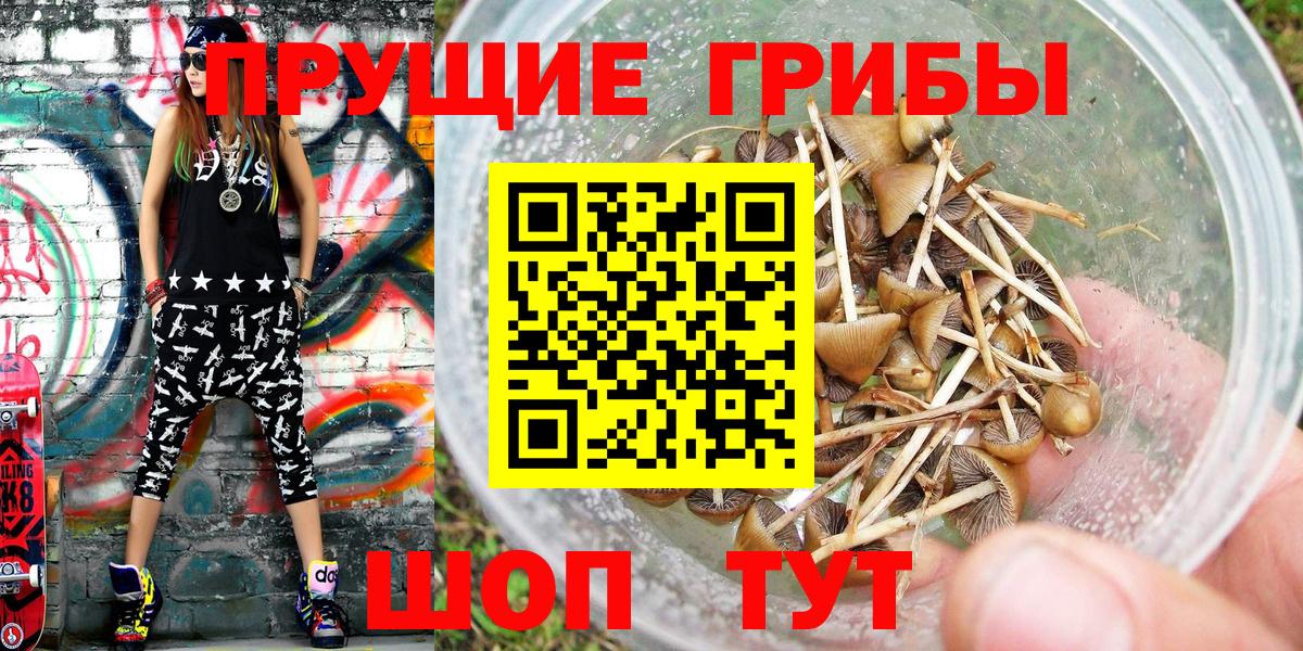 продажа наркотиков  Вход с VPN  Феодосия  Псилоцибиновые грибы мицелий  Псилоцибиновые грибы мухоморы 